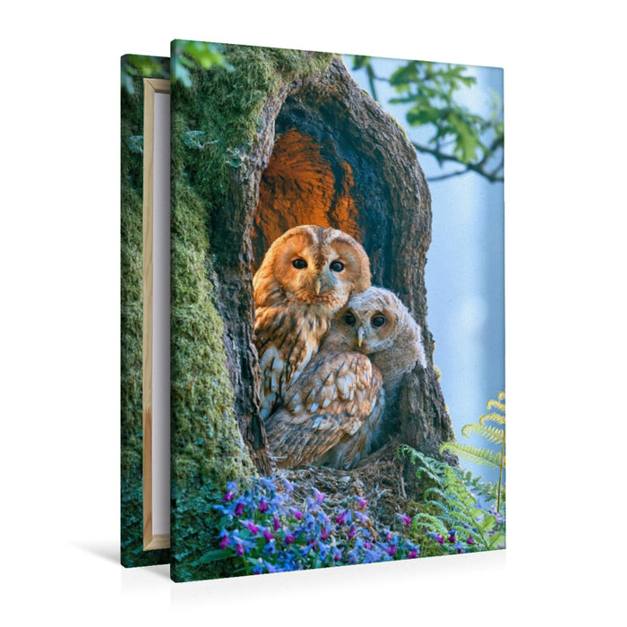 Premium Textil-Leinwand Ein Motiv aus dem Kalender Wunder der Wildnis