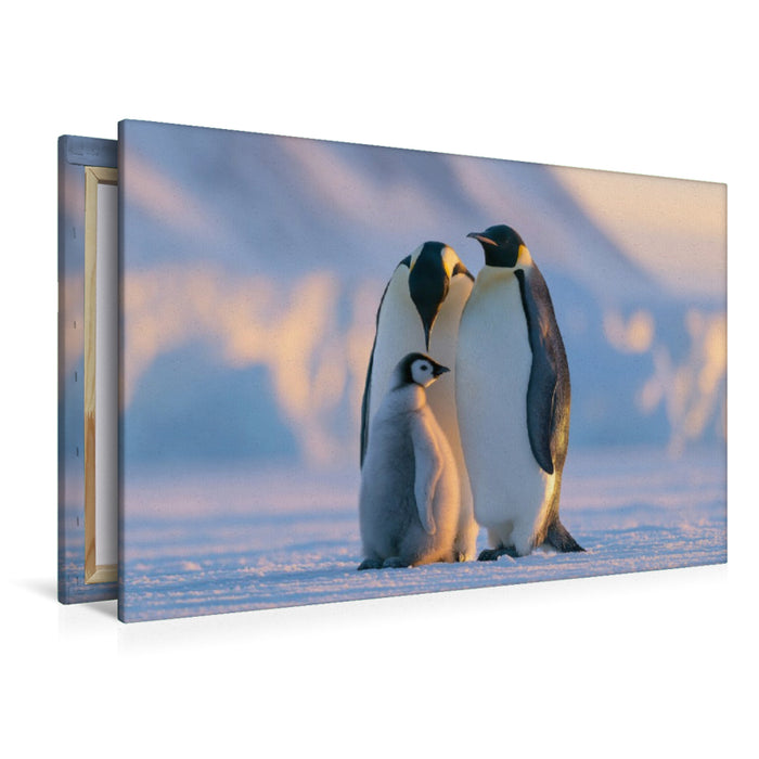 Premium Textil-Leinwand Ein Motiv aus dem Kalender Im Herzen der Wildnis