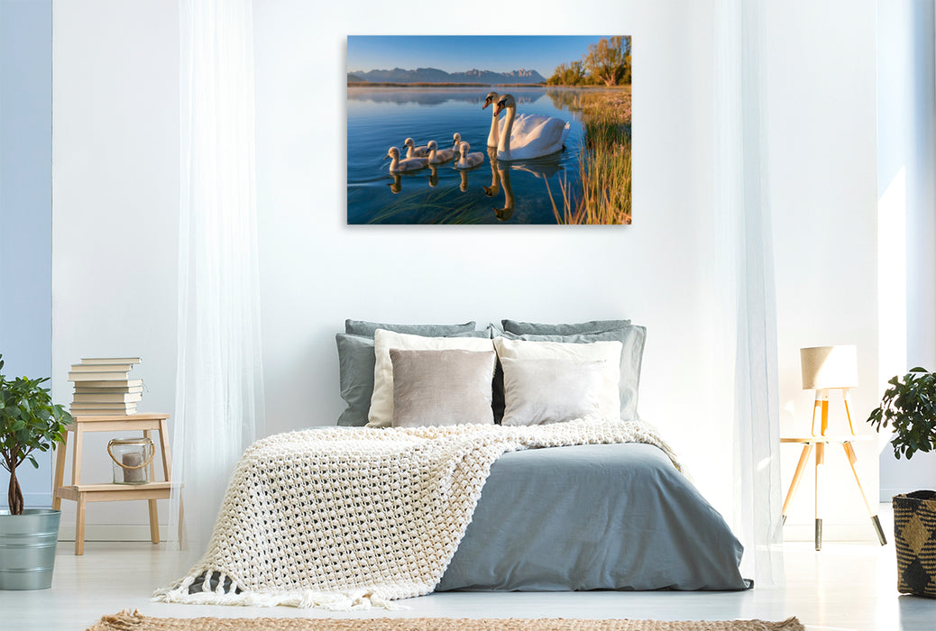 Premium Textil-Leinwand Anmut in Harmonie