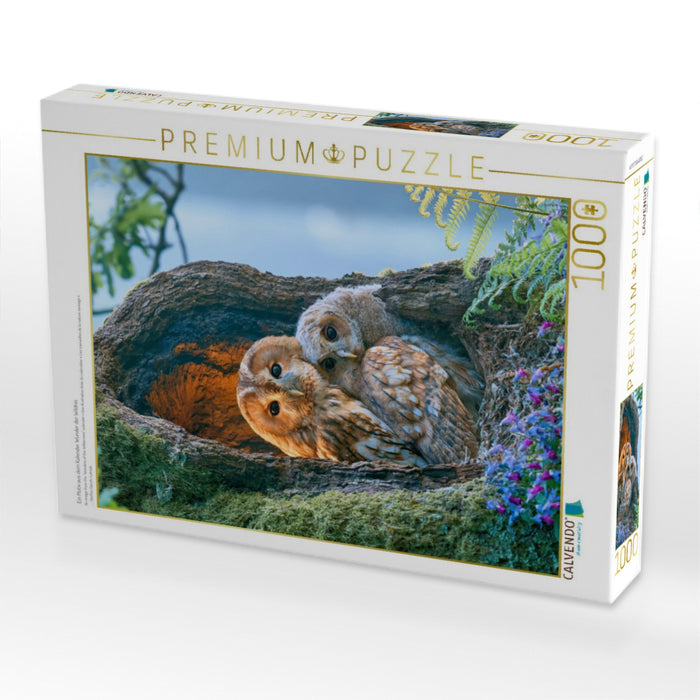 Ein Motiv aus dem Kalender Wunder der Wildnis - CALVENDO Foto-Puzzle'