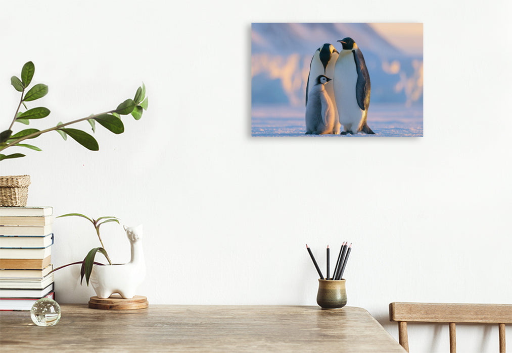 Premium Textil-Leinwand Ein Motiv aus dem Kalender Im Herzen der Wildnis