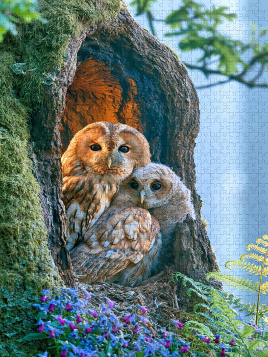 Ein Motiv aus dem Kalender Wunder der Wildnis - CALVENDO Foto-Puzzle'