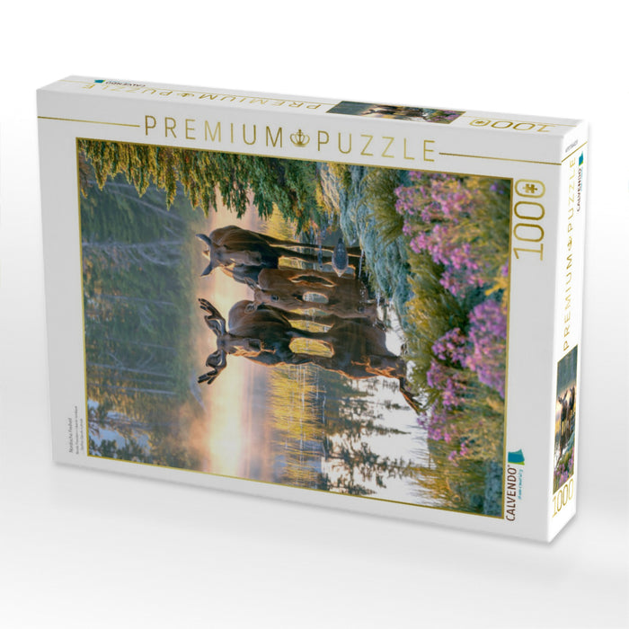 Nordische Freiheit - CALVENDO Foto-Puzzle'