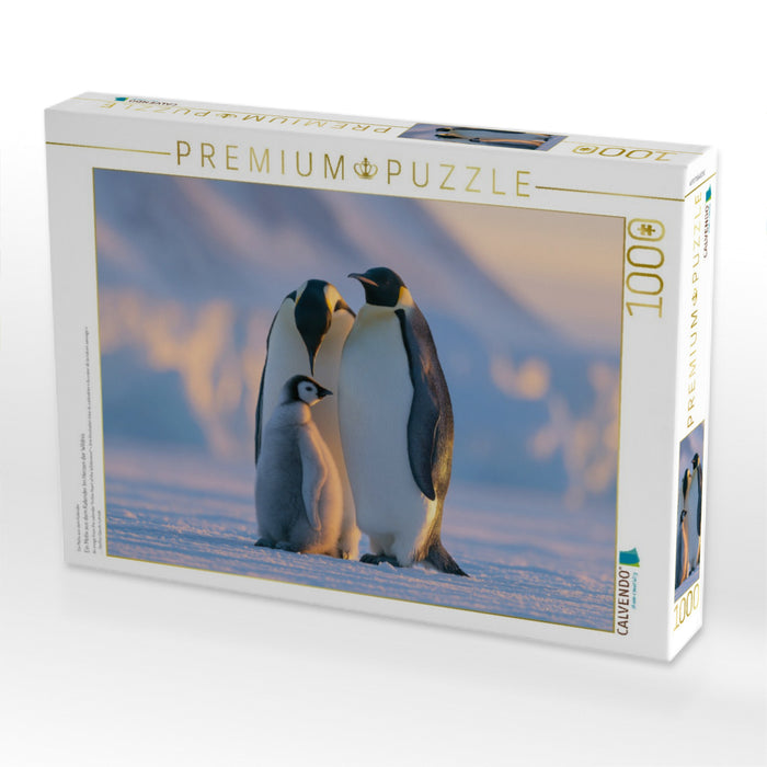 Ein Motiv aus dem Kalender Im Herzen der Wildnis - CALVENDO Foto-Puzzle'