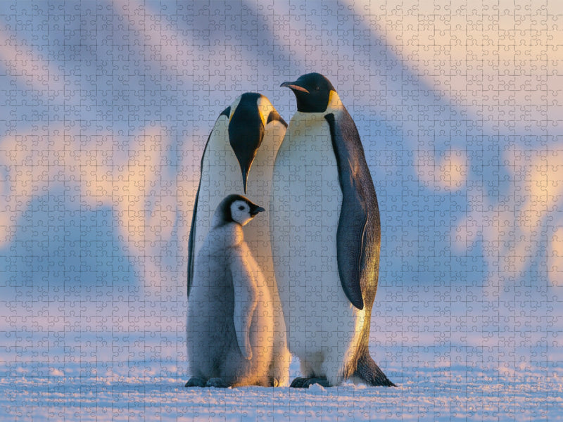 Ein Motiv aus dem Kalender Im Herzen der Wildnis - CALVENDO Foto-Puzzle'