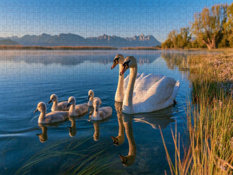 Anmut in Harmonie - CALVENDO Foto-Puzzle'