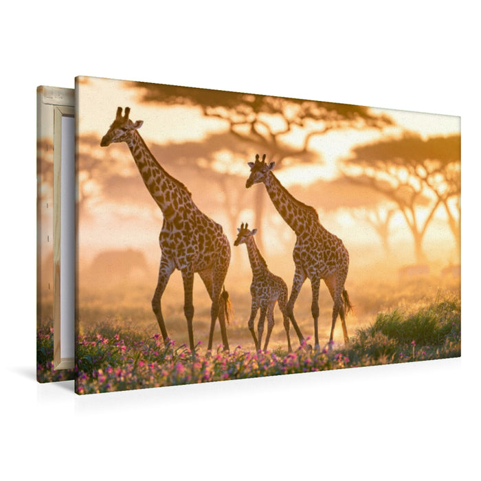Premium Textil-Leinwand Gemeinsam hoch hinaus