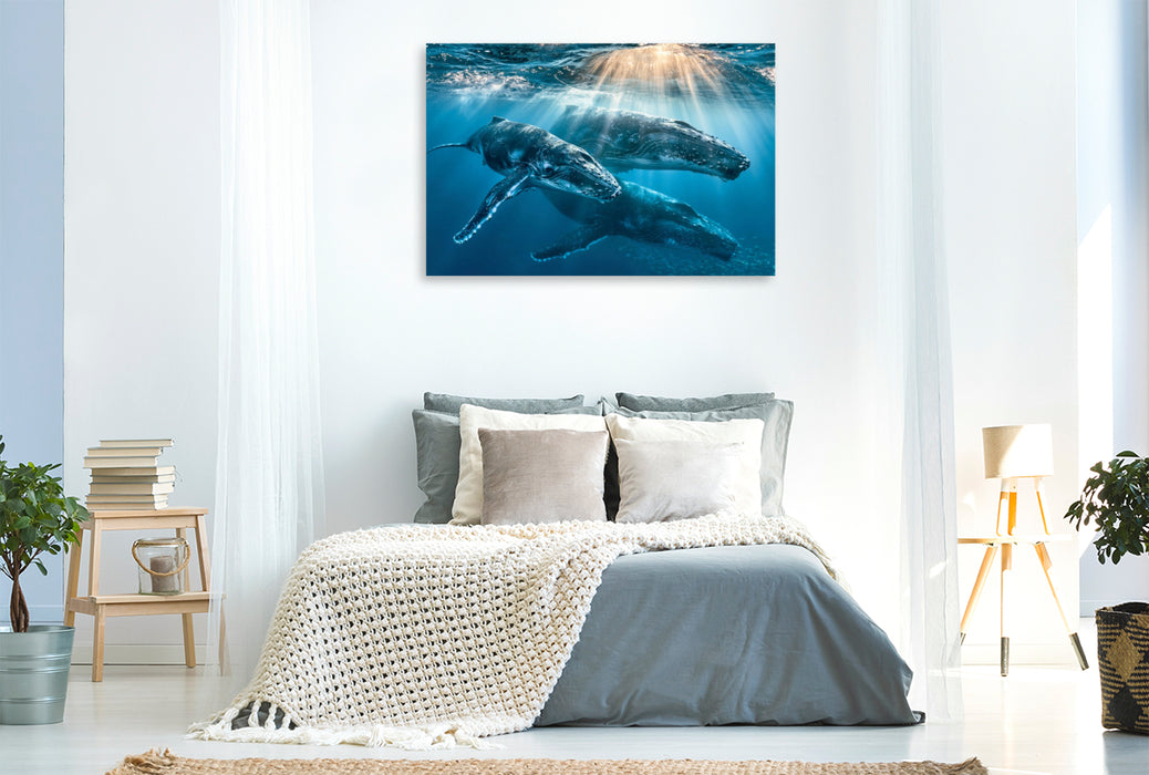 Premium Textil-Leinwand Giganten der Meere