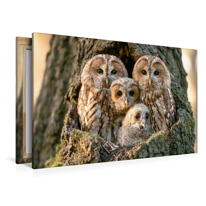 Premium Textil-Leinwand Weisheit der Nacht