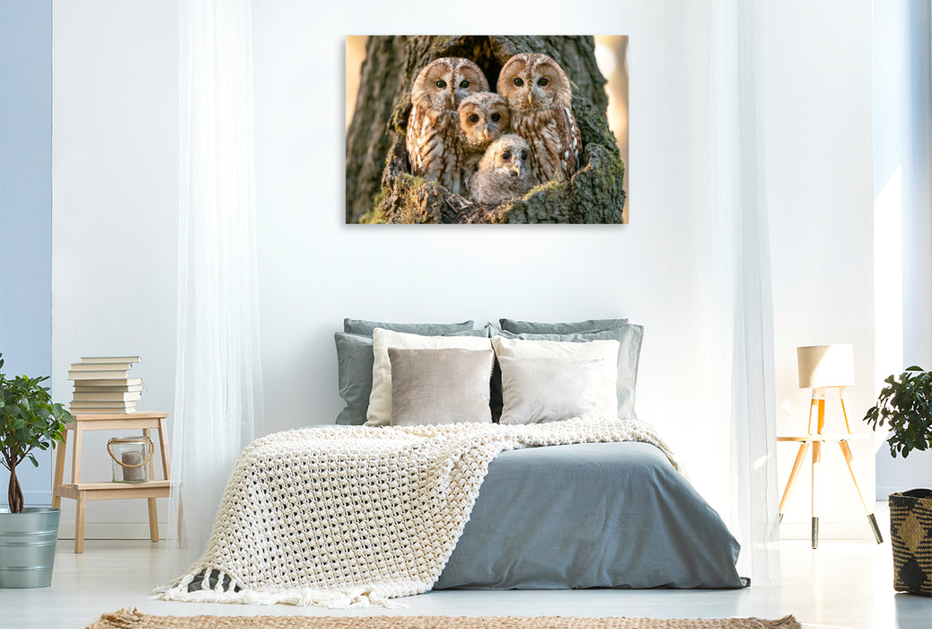 Premium Textil-Leinwand Weisheit der Nacht