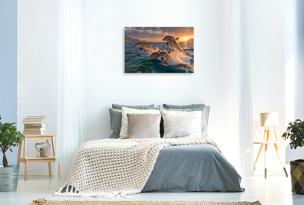 Premium Textil-Leinwand Freude der Meere