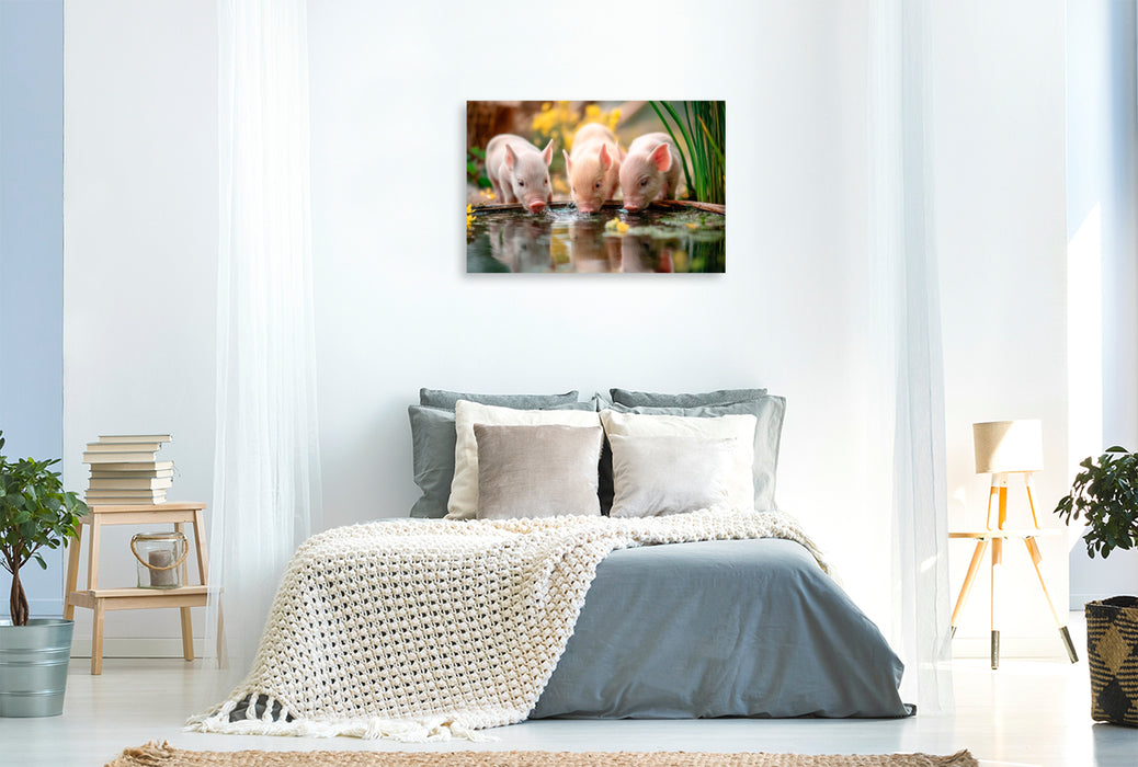 Premium Textil-Leinwand Ferkelglück