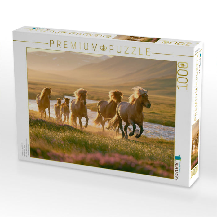 Frei wie der Wind - CALVENDO Foto-Puzzle'