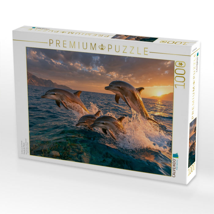Freude der Meere - CALVENDO Foto-Puzzle'