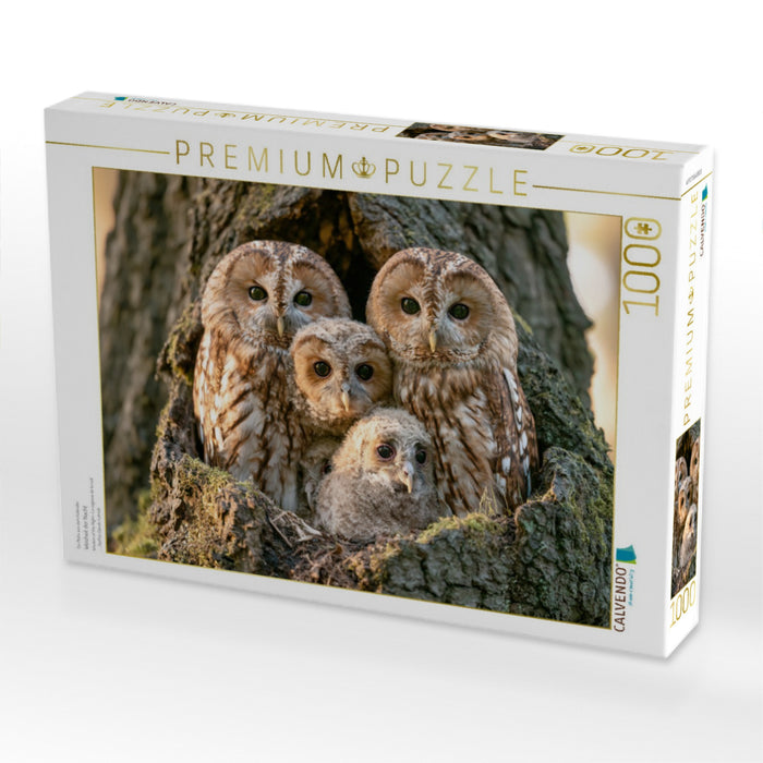 Weisheit der Nacht - CALVENDO Foto-Puzzle'