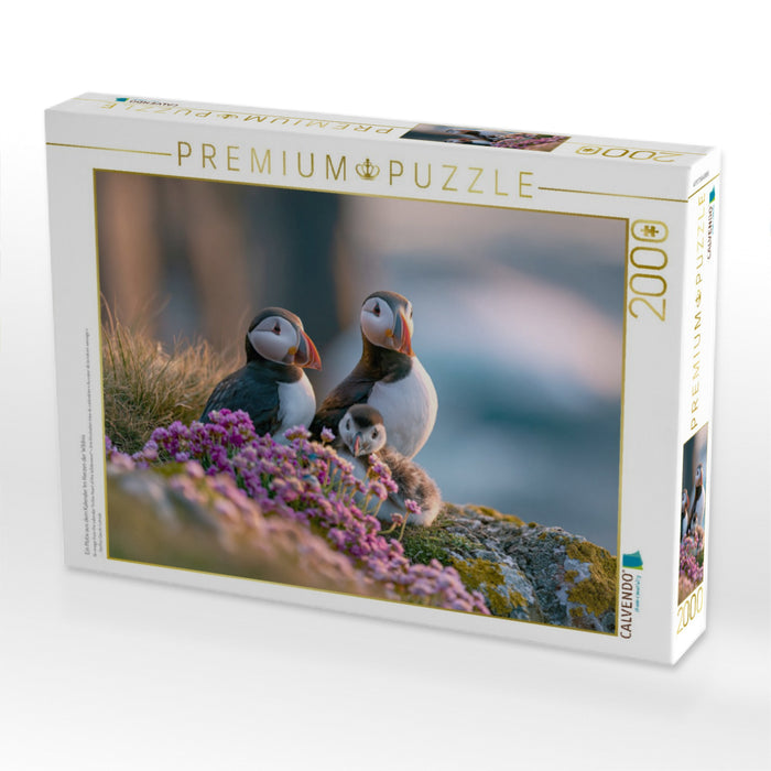 Ein Motiv aus dem Kalender Im Herzen der Wildnis - CALVENDO Foto-Puzzle'