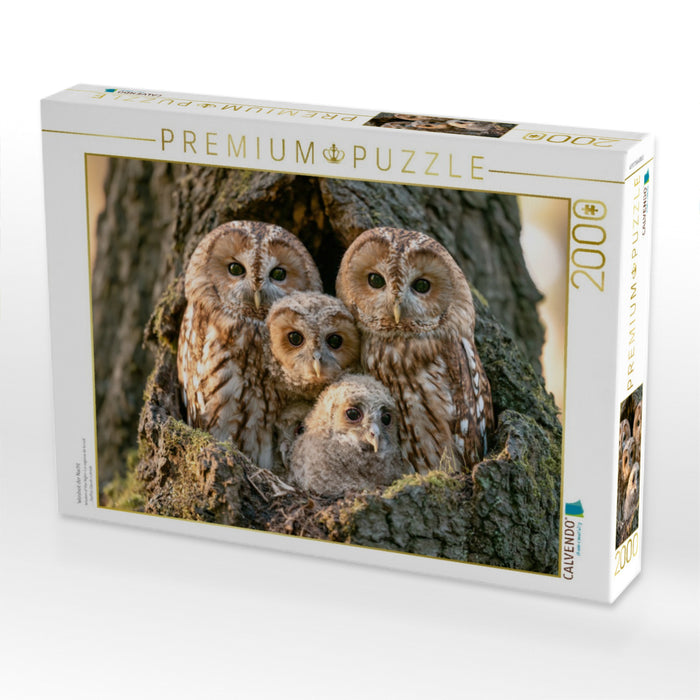 Weisheit der Nacht - CALVENDO Foto-Puzzle'