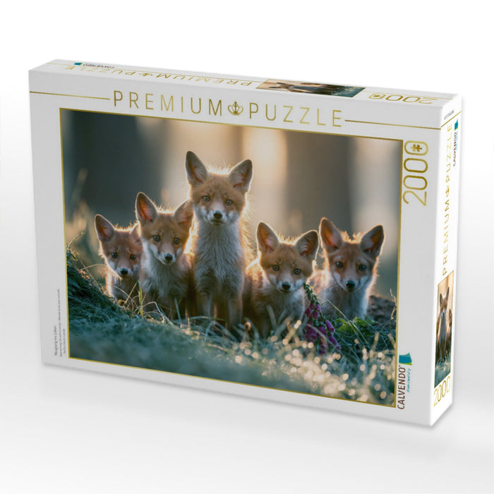Neugierig ins Leben - CALVENDO Foto-Puzzle'