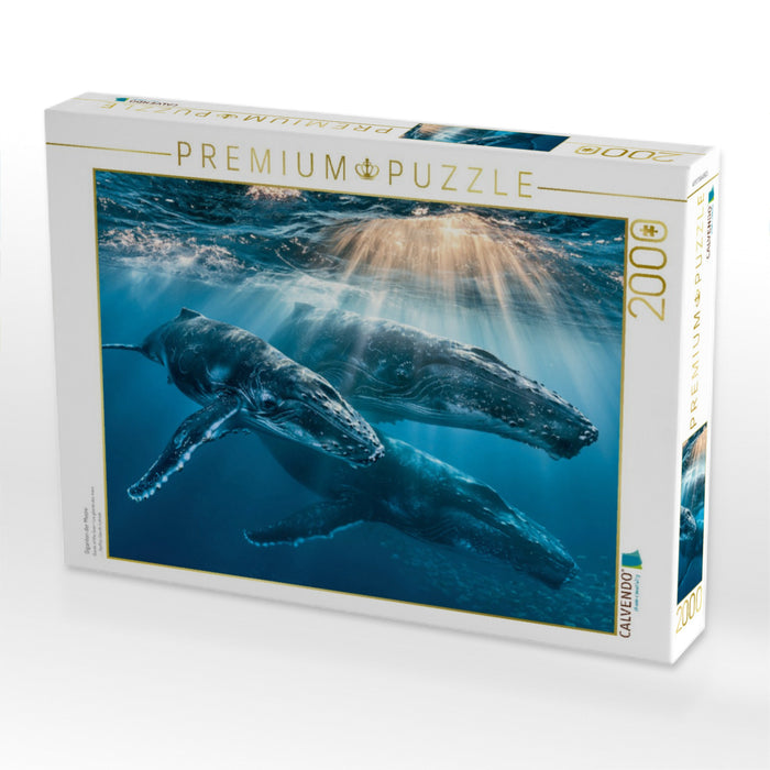Giganten der Meere - CALVENDO Foto-Puzzle'