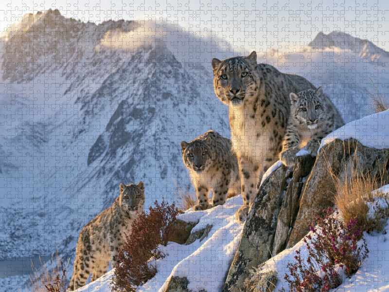Gemeinsam stark - CALVENDO Foto-Puzzle'