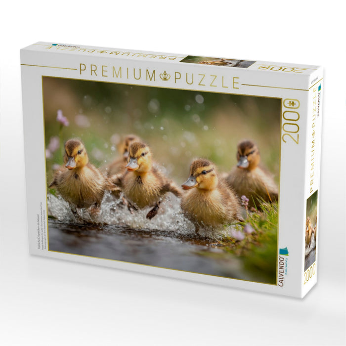 Fröhliche Entenküken im Wasser - CALVENDO Foto-Puzzle'