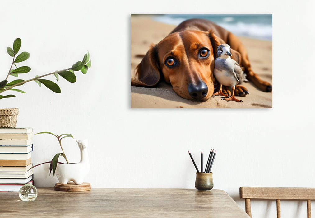 Premium Textil-Leinwand Dackel und zutrauliche Möwe am Sandstrand