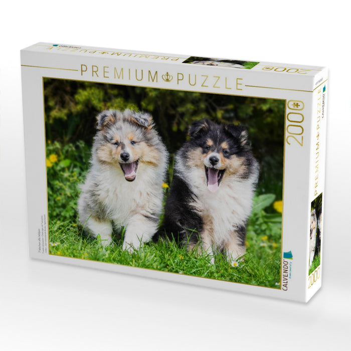 7 Wochen alte Welpen - CALVENDO Foto-Puzzle'