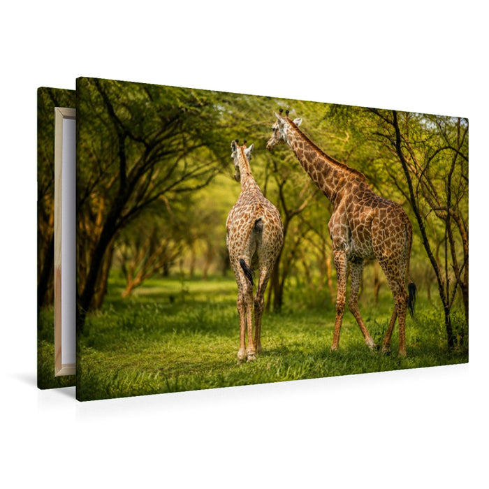Premium Textil-Leinwand Giraffen in der Savanne – Faszinierende Tierwelt im Senegal