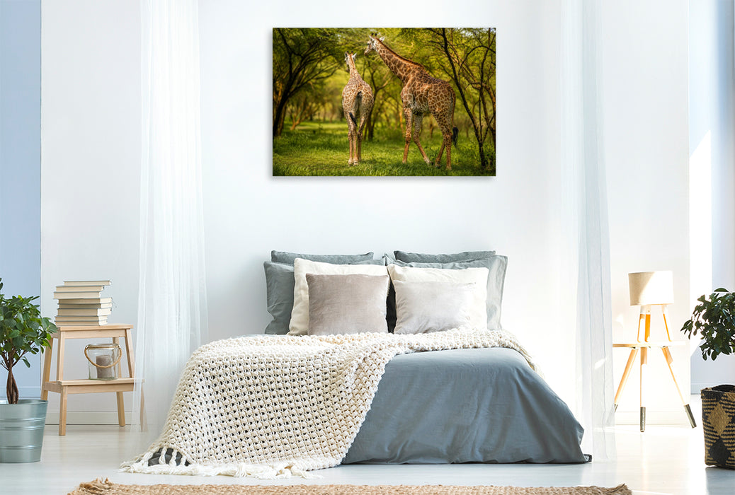 Premium Textil-Leinwand Giraffen in der Savanne – Faszinierende Tierwelt im Senegal