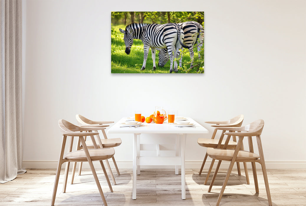 Premium Textil-Leinwand Zebras im Bandia Reservat – Wildtiere im Senegal erleben