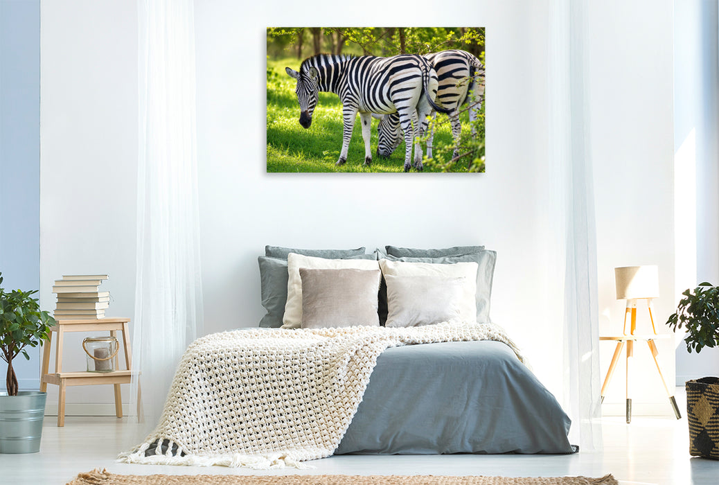 Premium Textil-Leinwand Zebras im Bandia Reservat – Wildtiere im Senegal erleben