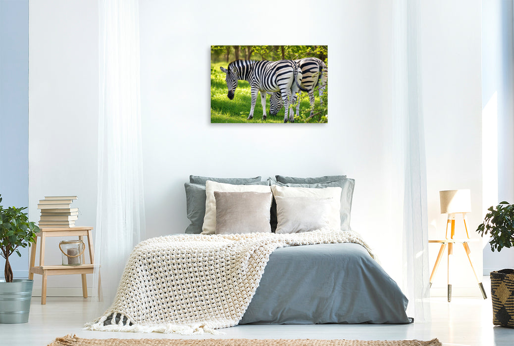 Premium Textil-Leinwand Zebras im Bandia Reservat – Wildtiere im Senegal erleben