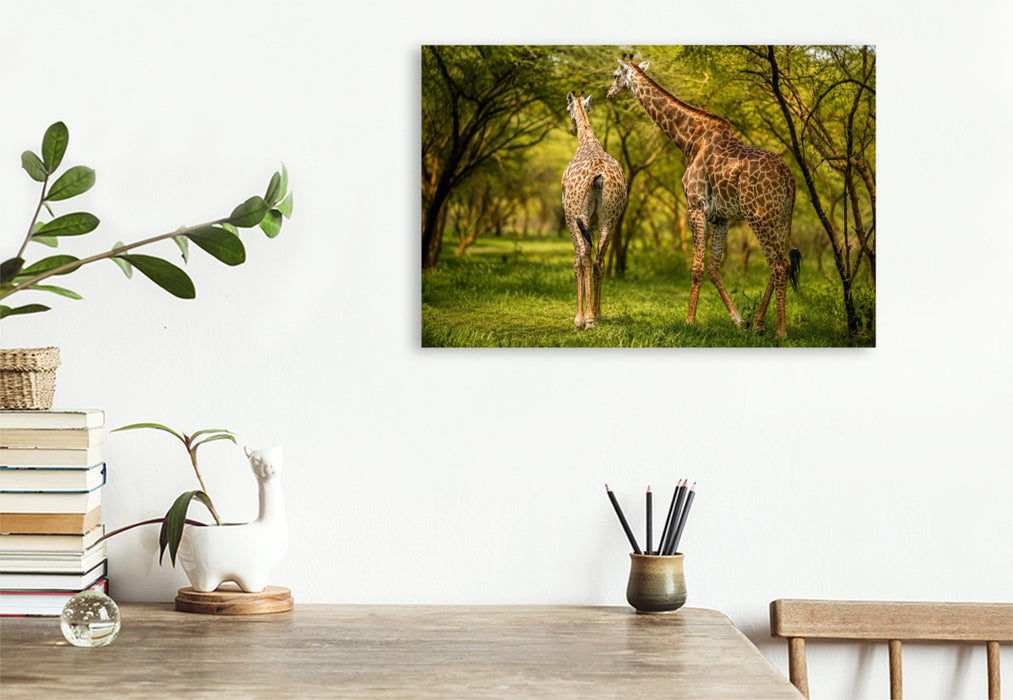 Premium Textil-Leinwand Giraffen in der Savanne – Faszinierende Tierwelt im Senegal