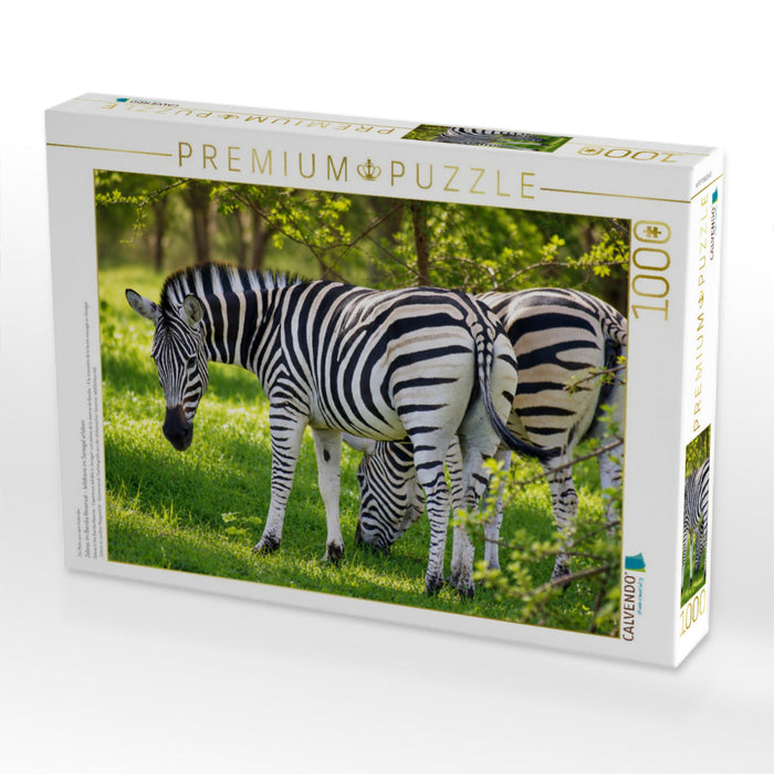 Zebras im Bandia Reservat – Wildtiere im Senegal erleben - CALVENDO Foto-Puzzle'