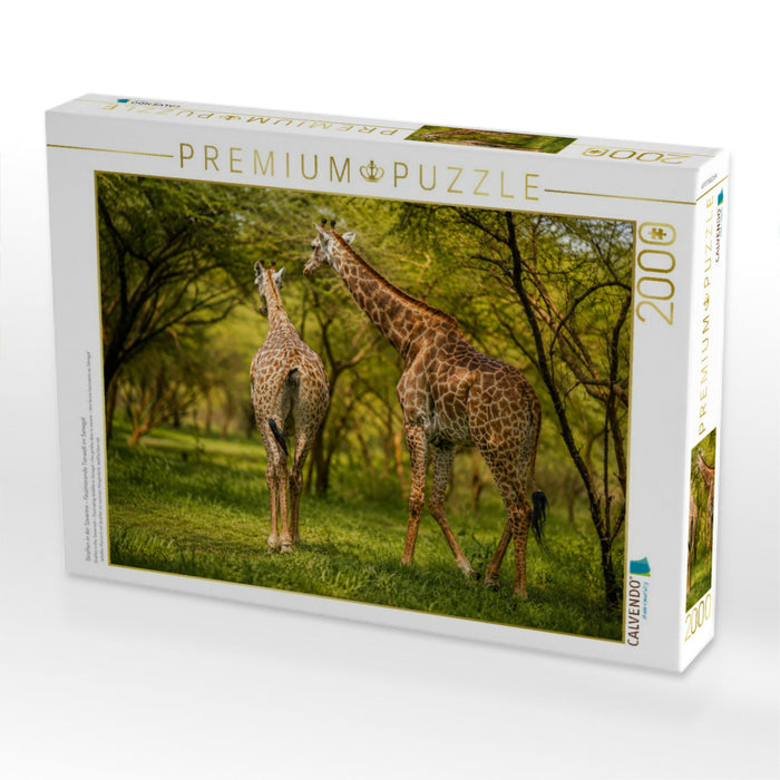 Giraffen in der Savanne – Faszinierende Tierwelt im Senegal - CALVENDO Foto-Puzzle'