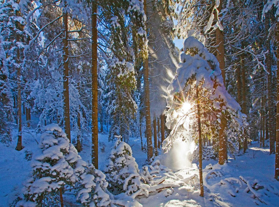 Winterzauber am Kreischberg - CALVENDO Foto-Puzzle'