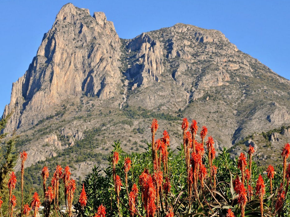 Berge im Hinterland - CALVENDO Foto-Puzzle'