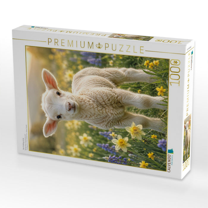 Der Frühling ist da - CALVENDO Foto-Puzzle'