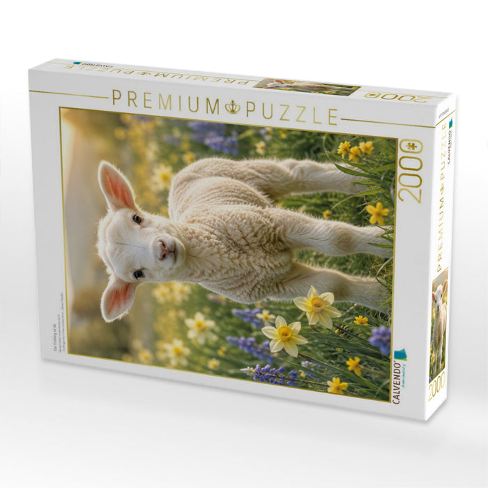 Der Frühling ist da - CALVENDO Foto-Puzzle'