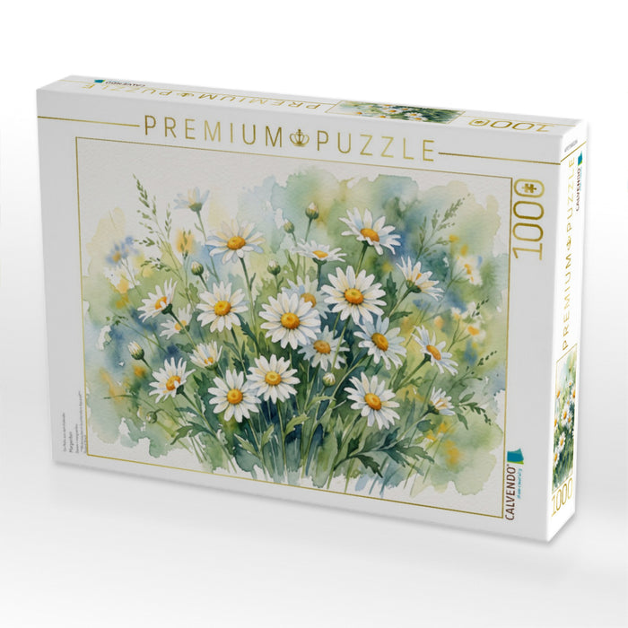 Margeriten - CALVENDO Foto-Puzzle'