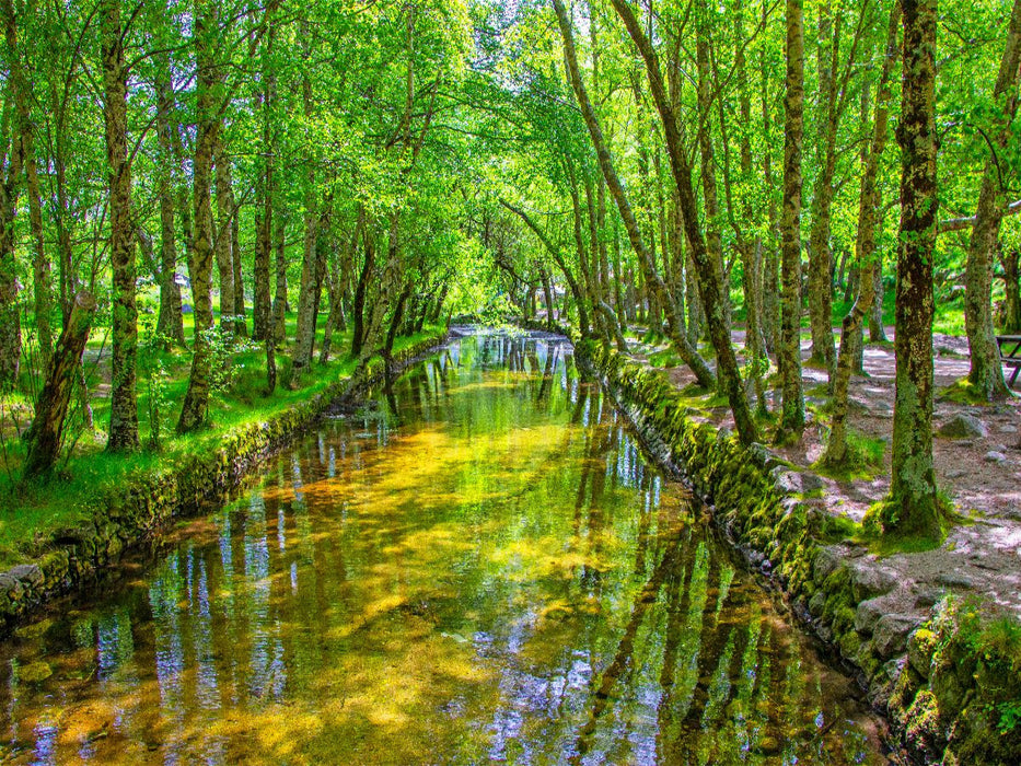 Covão da Metade im ältesten Naturpark - CALVENDO Foto-Puzzle'