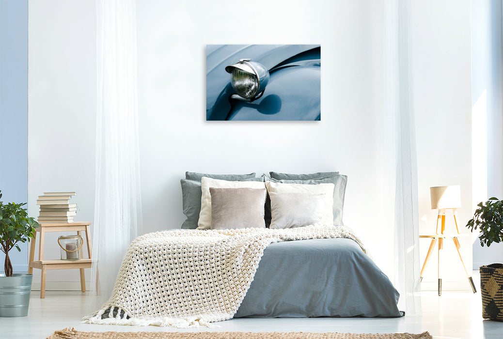 Premium Textil-Leinwand Morgentau auf der Ente