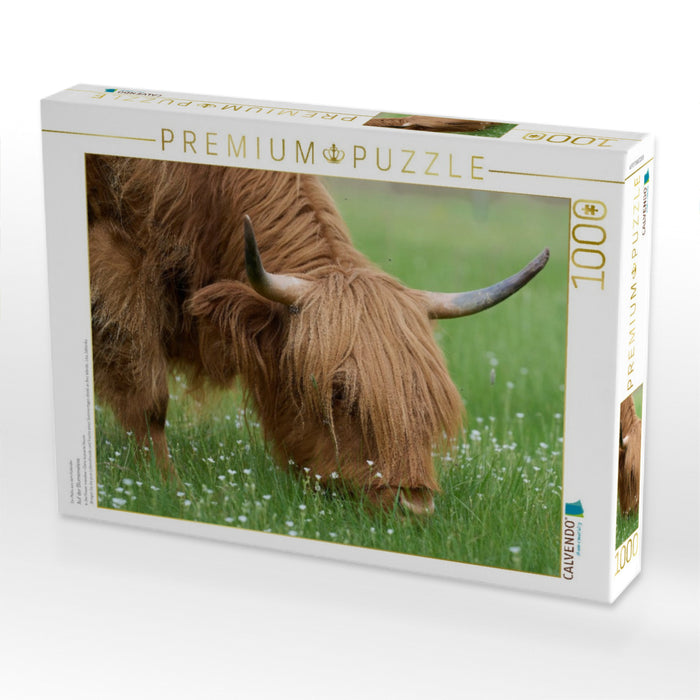 Auf der Blumenwiese - CALVENDO Foto-Puzzle'