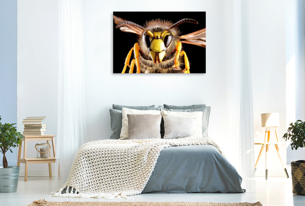 Premium Textil-Leinwand Gemeine Wespe (Vespula vulgaris)