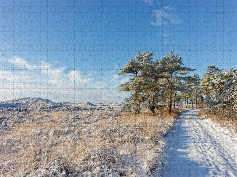 Winterdünen bei Tversted Stokmølle - CALVENDO Foto-Puzzle'