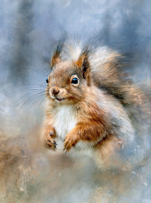 Eichhörnchen, ein sanfter Blick, ein schneller Sprung danach - CALVENDO Foto-Puzzle'