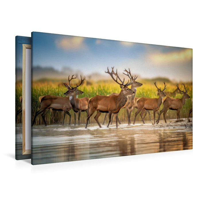 Premium Textil-Leinwand Augenblick der Stille.