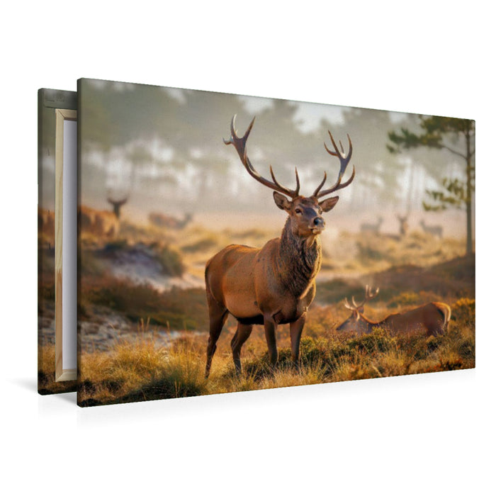Premium Textil-Leinwand König der Schatten.