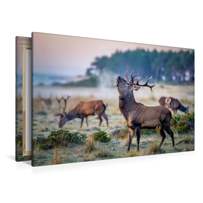 Premium Textil-Leinwand Wenn der Hirsch den Pfad kreuzt, wird der Wald lebendig.