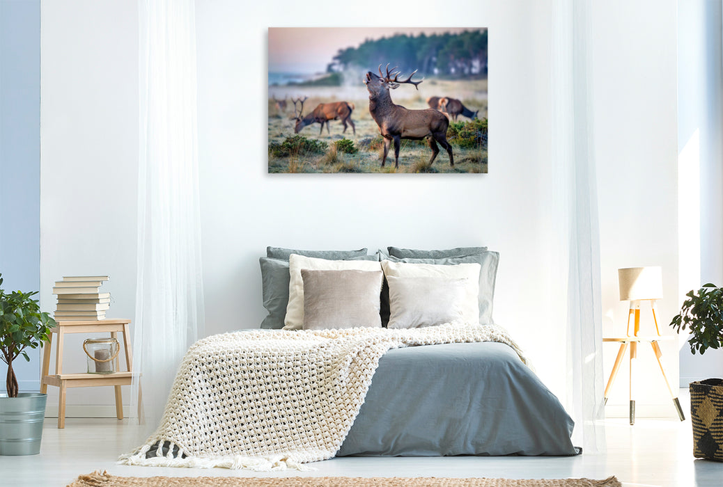Premium Textil-Leinwand Wenn der Hirsch den Pfad kreuzt, wird der Wald lebendig.